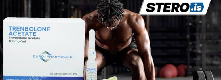 Blog SWS sobre o ciclo tren only